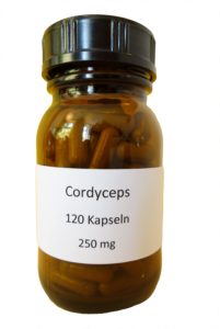 Cordyceps kaufen